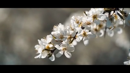 Spring in Slovakia - Hriňovské Lazy   Cinematic video